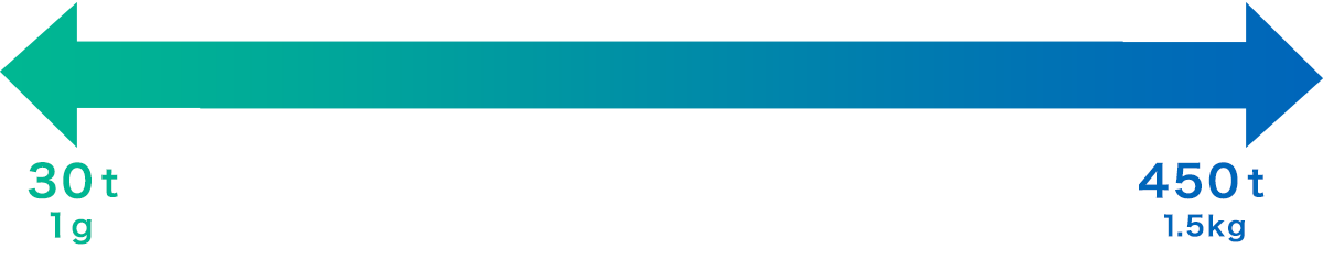 30t成形から450t成形まで可能